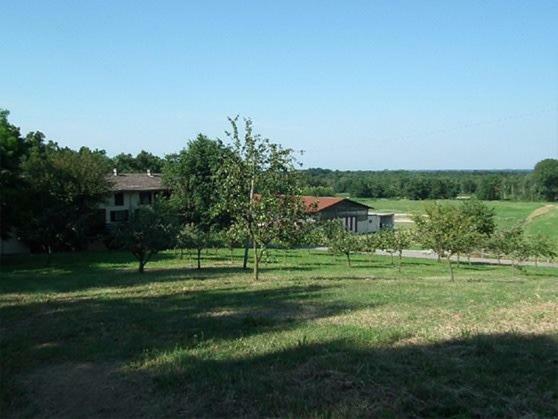 Agriturismo Cargandino Villa Mezzomerico Exteriör bild